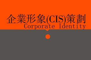 廣告、營銷、品牌與企業(yè)策劃 戰(zhàn)略協(xié)同下的廣告設(shè)計核心